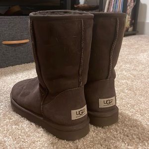 Chocolate Brown Short Uggs